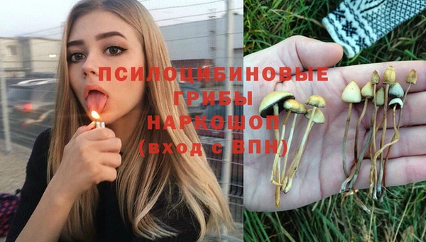 спайс Михайлов