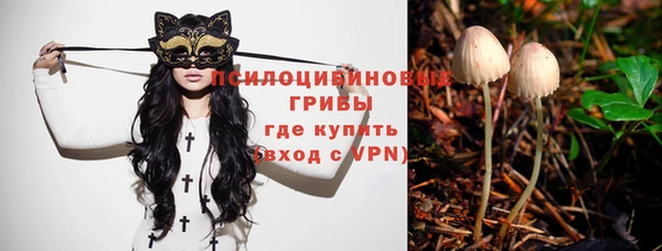 спайс Михайлов