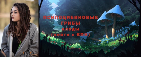 спайс Михайлов