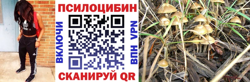 Галлюциногенные грибы мицелий  Унеча 