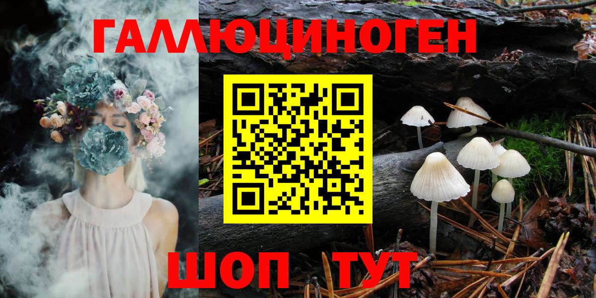Галлюциногенные грибы GOLDEN TEACHER  Псилоцибиновые грибы GOLDEN TEACHER  Унеча  Вход с VPN 