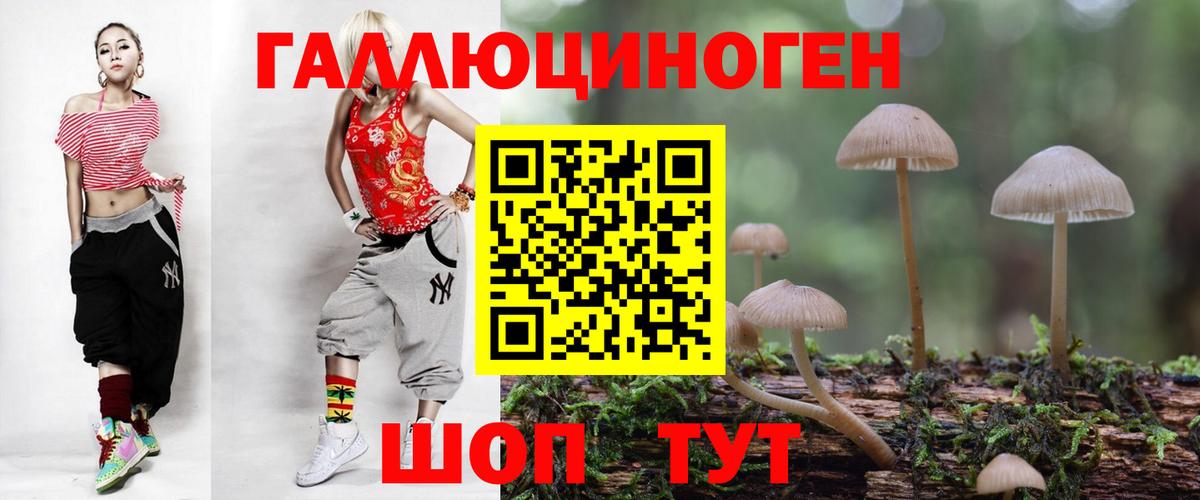 купить наркотик  Галлюциногенные грибы GOLDEN TEACHER  Вход с VPN  Унеча 