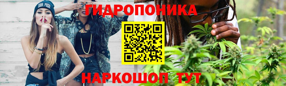 Унеча  Бошки марихуана VHQ  Бошки марихуана конопля  Вход с VPN  Бошки марихуана семена 